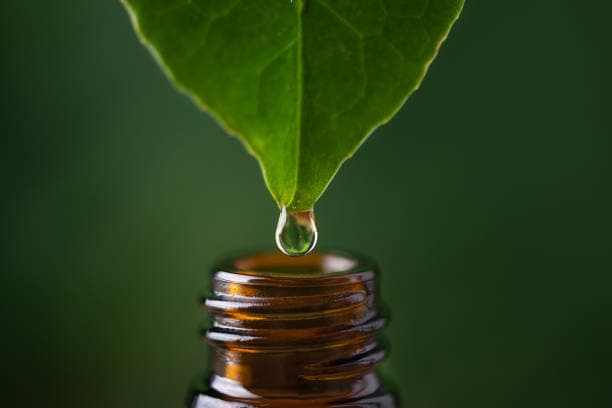 Aroma Therapy